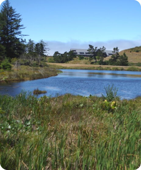 View of the lake from a hiking trail at Bandon Dunes Golf Resort